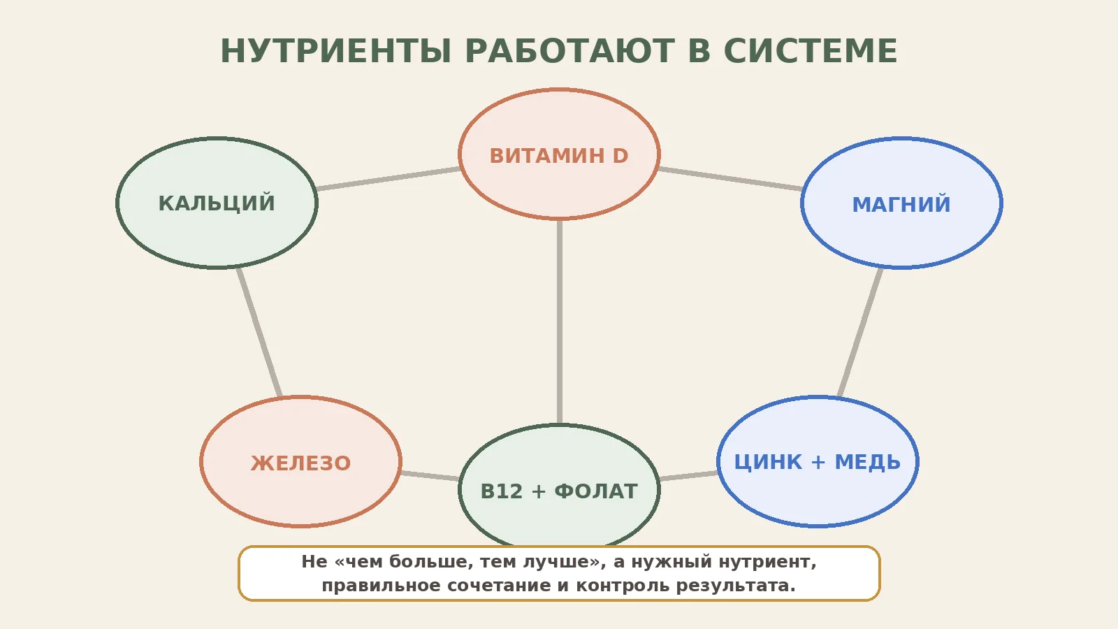 Рисунок 1. Витамины и минералы работают не изолированно, но «связка» не означает, что ребёнку автоматически нужны все её компоненты.